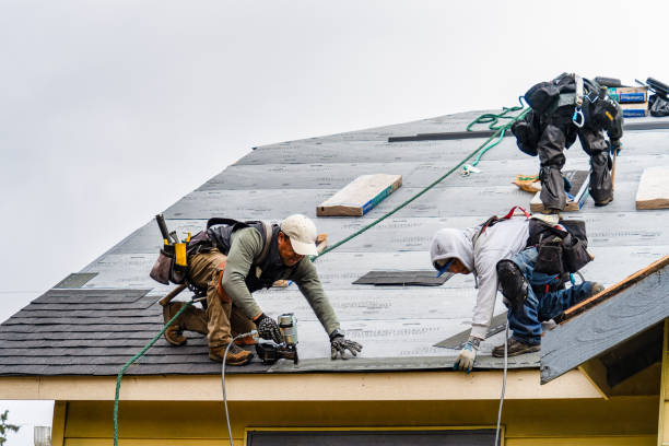 Professional Storm Damage Roof Repair technician working in Denmark, IA